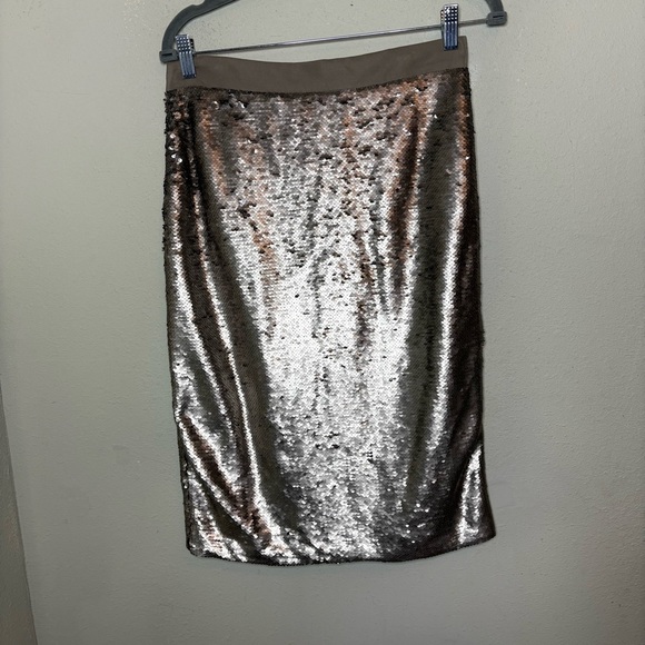 Banana Republic Matt Silver Sequin Pencil Midi Skirt Size 6 - Picture 1 of 7